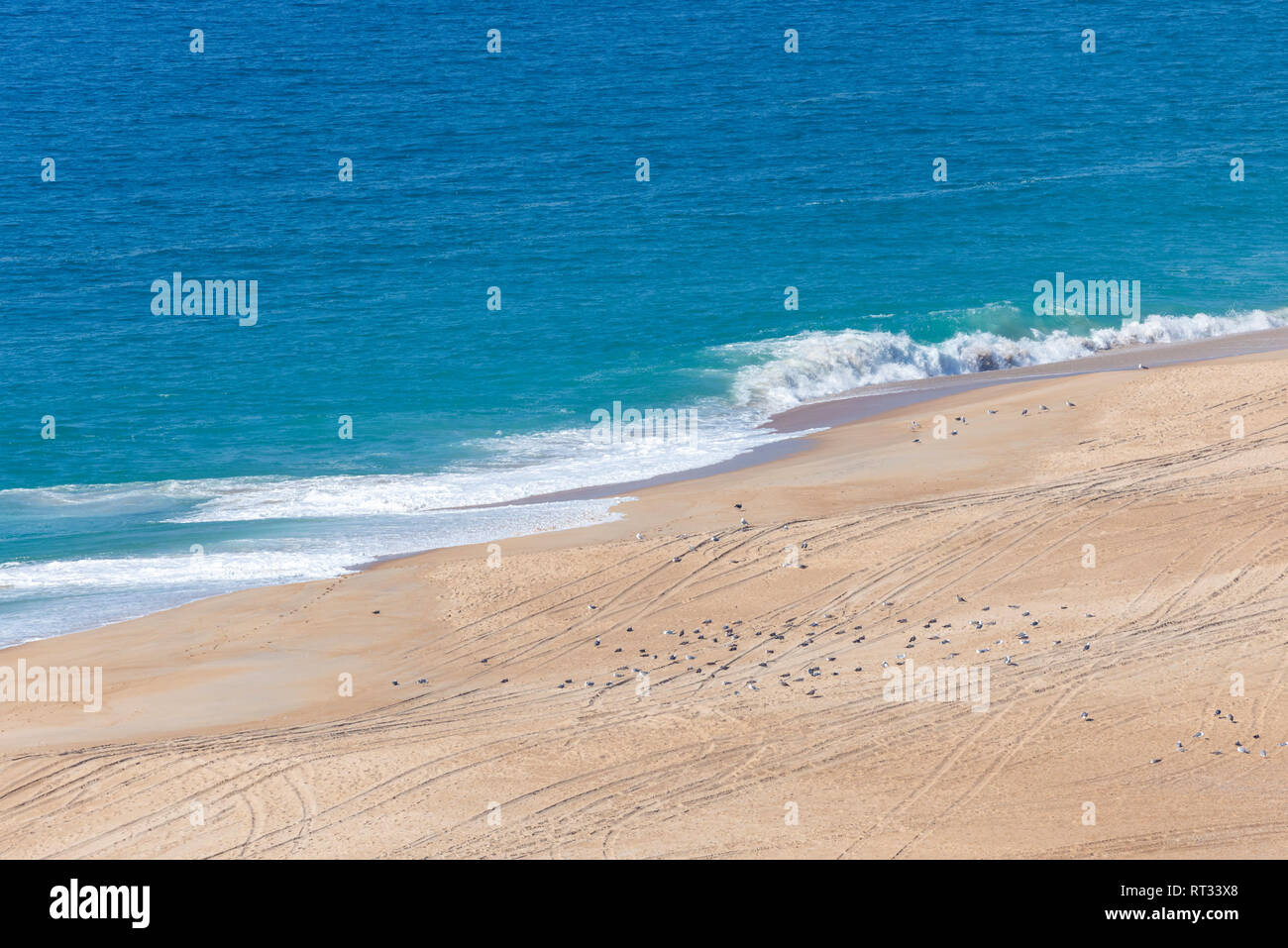 Morbido blu oceano onda sulla spiaggia sabbiosa. Sfondo. Foto Stock