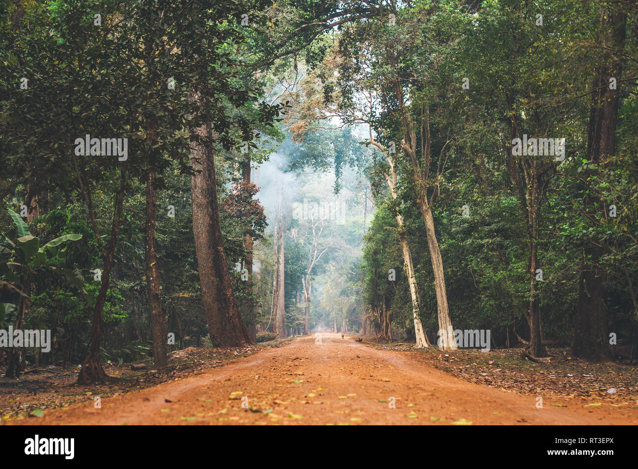 Strada sterrata stretching attraverso la giungla cambogiana. Foto Stock