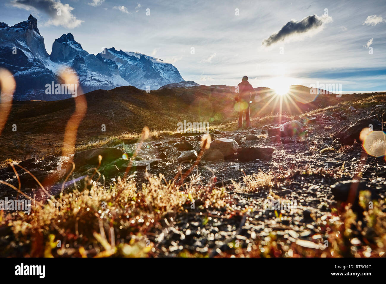 Il Cile, parco nazionale Torres del Paine, uomo in piedi di fronte a Torres del Paine massiccio di sunrise Foto Stock