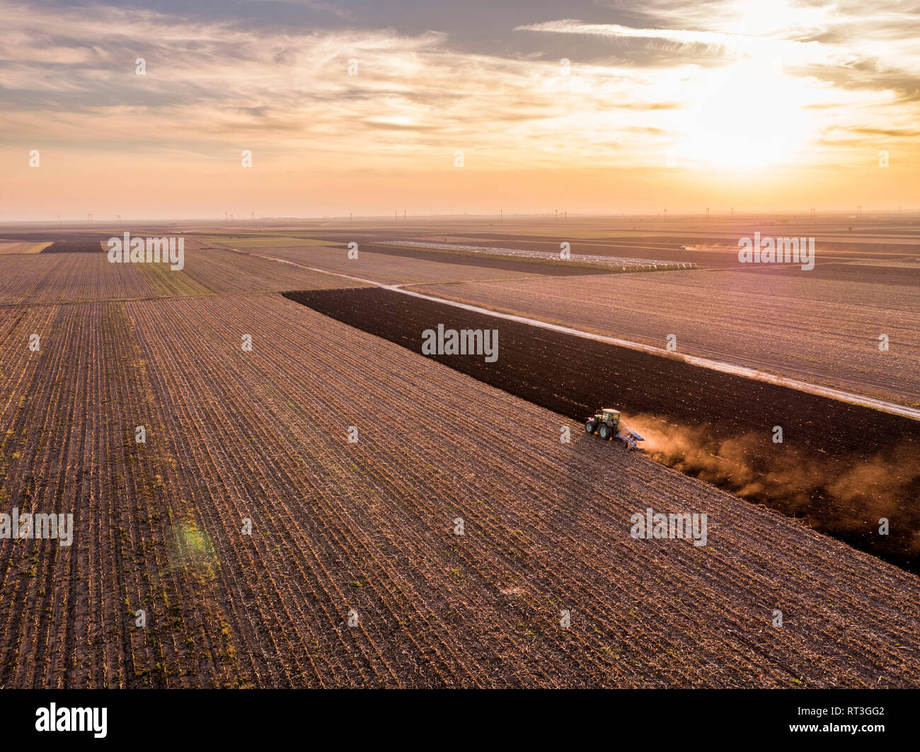La Serbia, Vojvodina. Trattore campo di aratura al tramonto Foto Stock