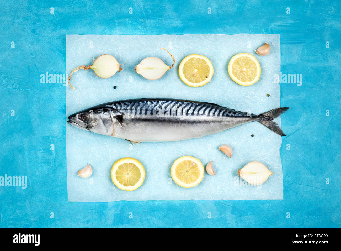 Layout creativo fatto di fresco maсkerel crudo con condimenti su una carta pergamena. Mediterranean Seafood concetto. Orientamento orizzontale. Foto Stock