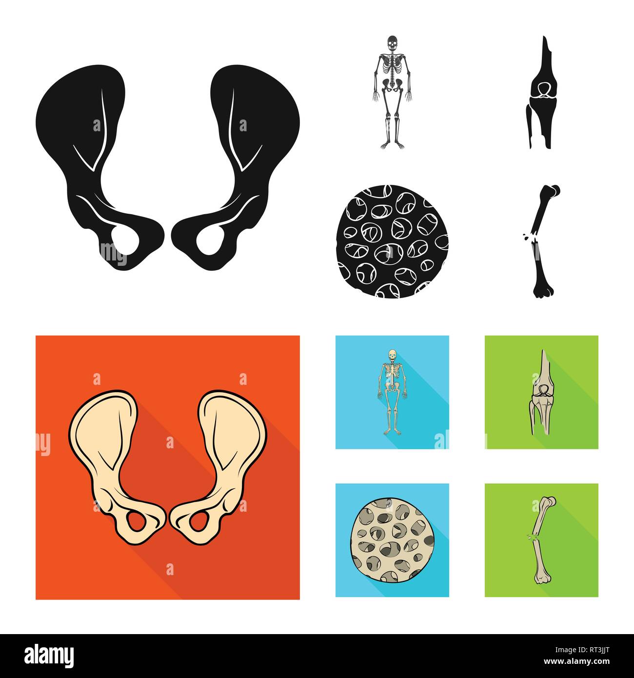 Hip,apparato muscoloscheletrico,femore, fibra,frattura,congiunto,,scientifico,ossea sana,dolore,bacino,scheletrico gamba,,bias chirurgia,,sistema,GINOCCHIO,muscolo,pregiudizio,corpo,tibia,l'epitelio,tessuto connettivo,cranio,fibula,l'epidermide,calcio,TENDINE,articolazioni,movimento,cell,medicina clinica,,biology,medical,osso,skeleton,anatomia umana,,organi,impostare,vettore,icona,immagine,isolato,raccolta,design,l'elemento,graphic,segno vettori vettore , Illustrazione Vettoriale