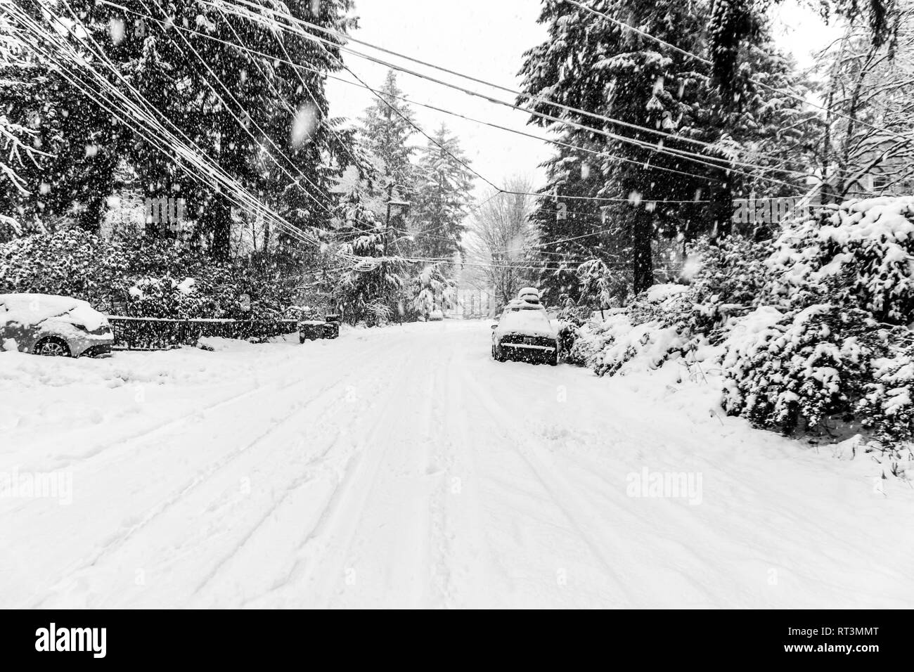 La neve è molto profondo come la tempesta raggiunge il suo picco. La posizione è Burien, Washington. Foto Stock