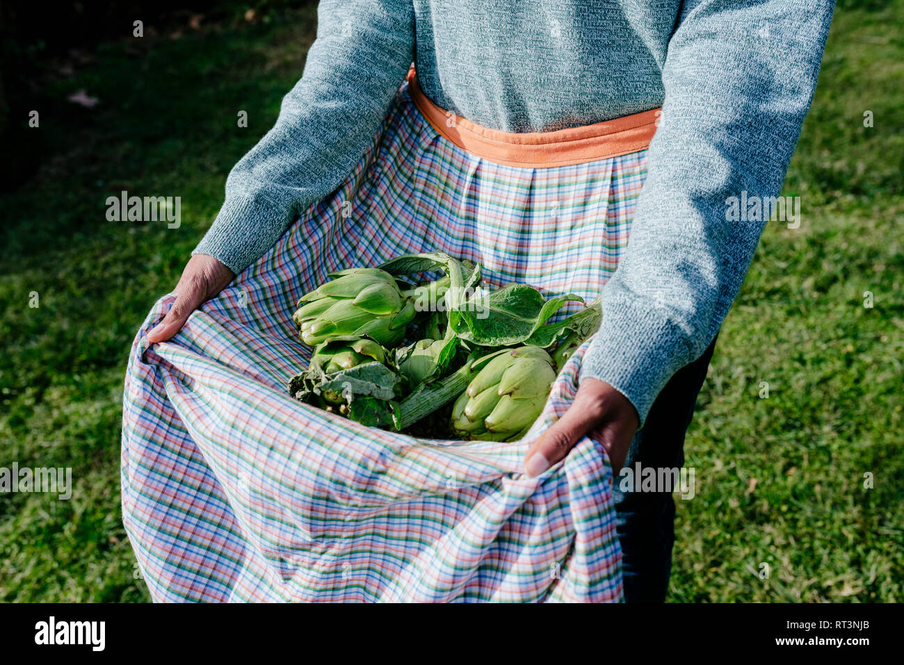 Donna che la porta appena raccolto nel suo grembiule Foto Stock