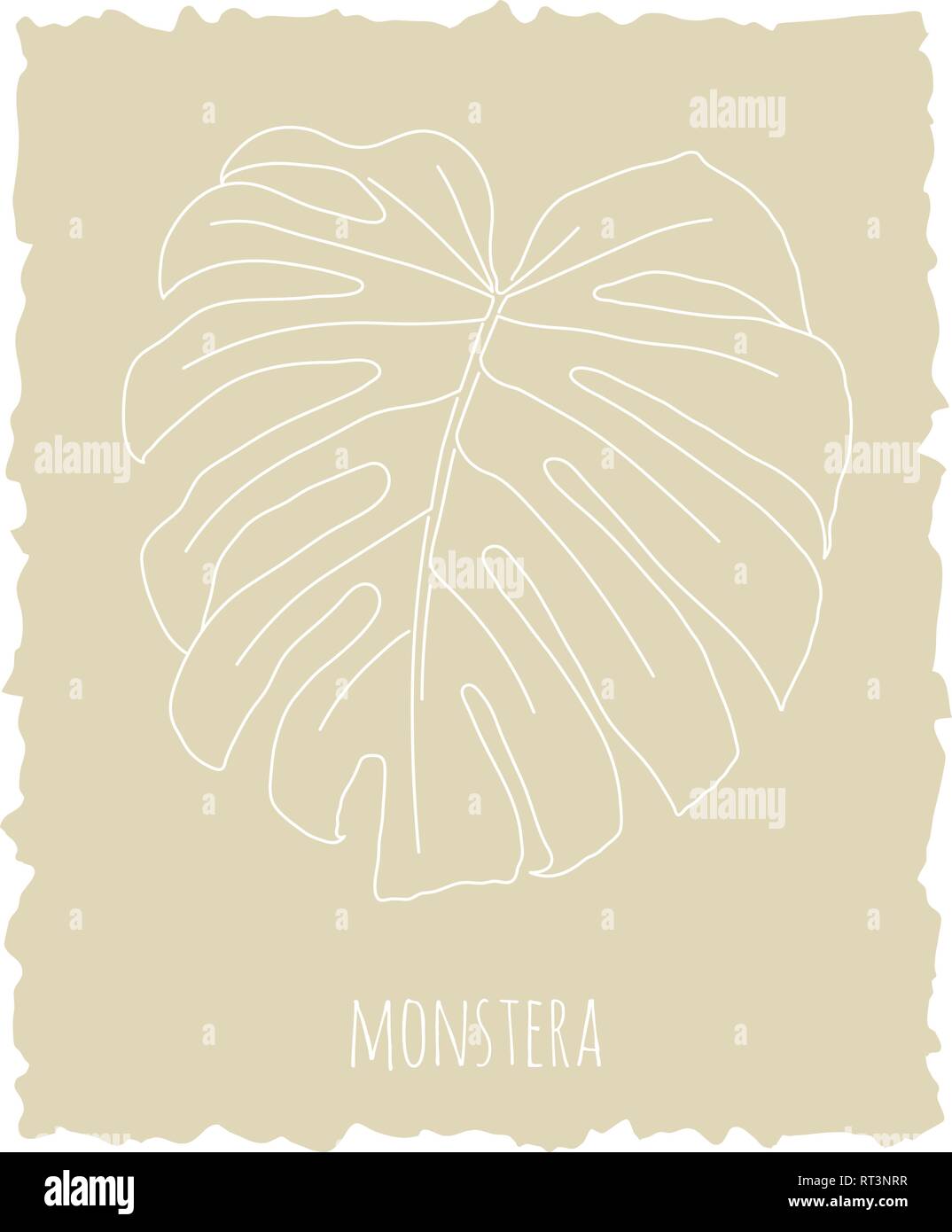 Monstera Deliciosa Foglia tropicale. Linea vettore d'arte Illustrationon sfondo beige Illustrazione Vettoriale