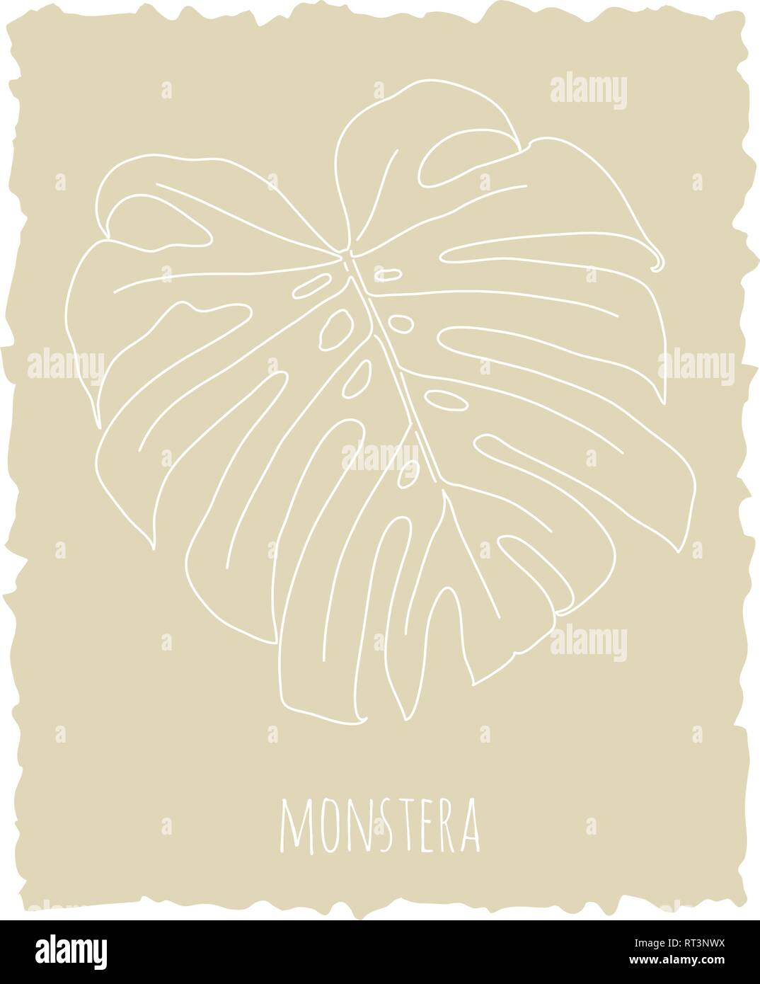 Monstera Deliciosa Foglia tropicale. Linea vettore d'arte Illustrationon sfondo beige Illustrazione Vettoriale
