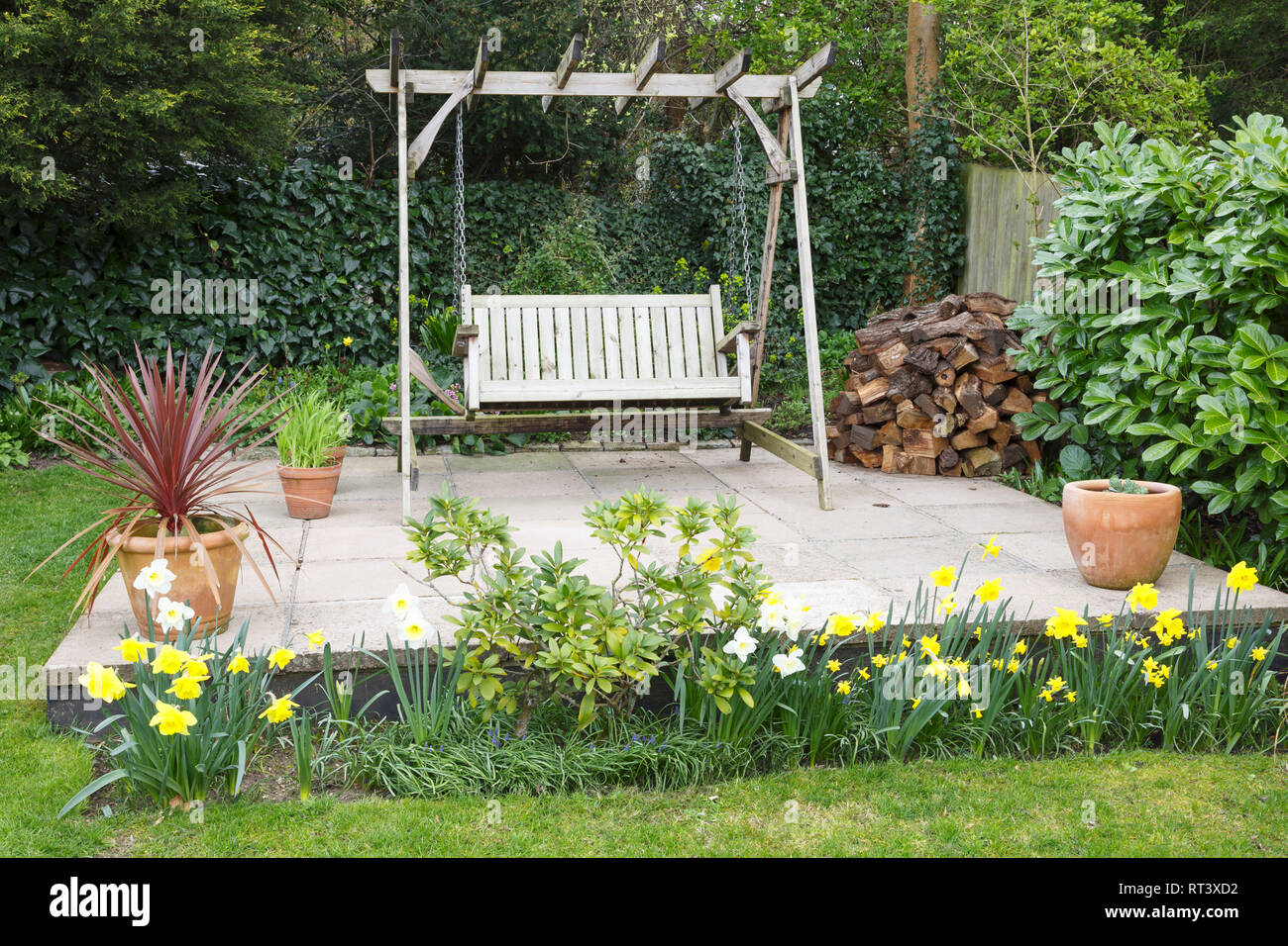 Patio con giardino in primavera con i narcisi e un legno banco oscillante Foto Stock