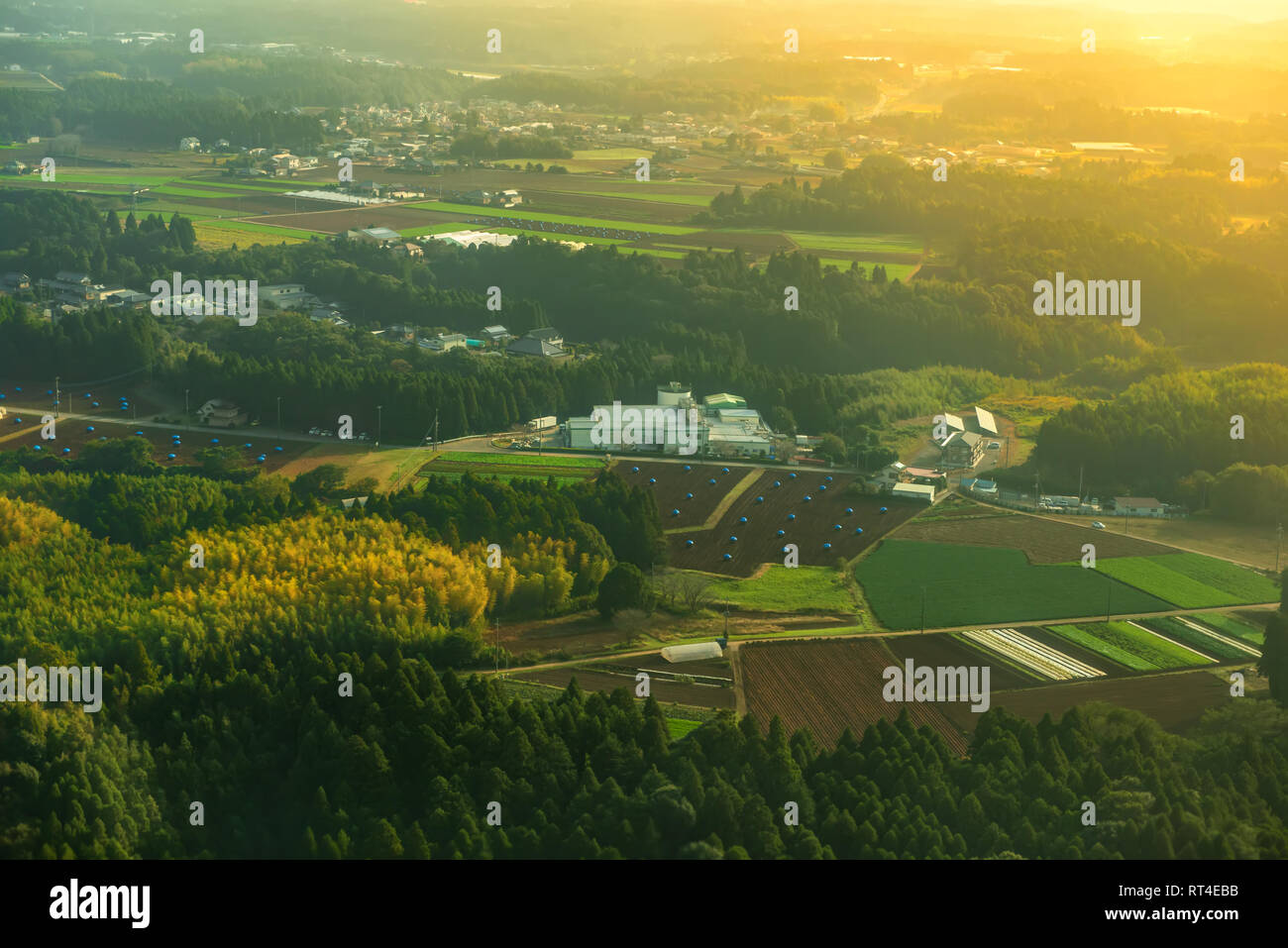 Bellissima alba vista aerea del paesaggio rurale con campi verdi, case e strada in Asia, Giappone Foto Stock