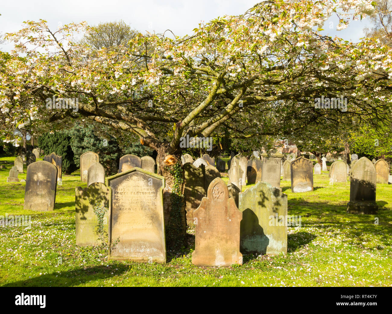 Lapidi nel cimitero della chiesa. In Inghilterra. Regno Unito Foto Stock