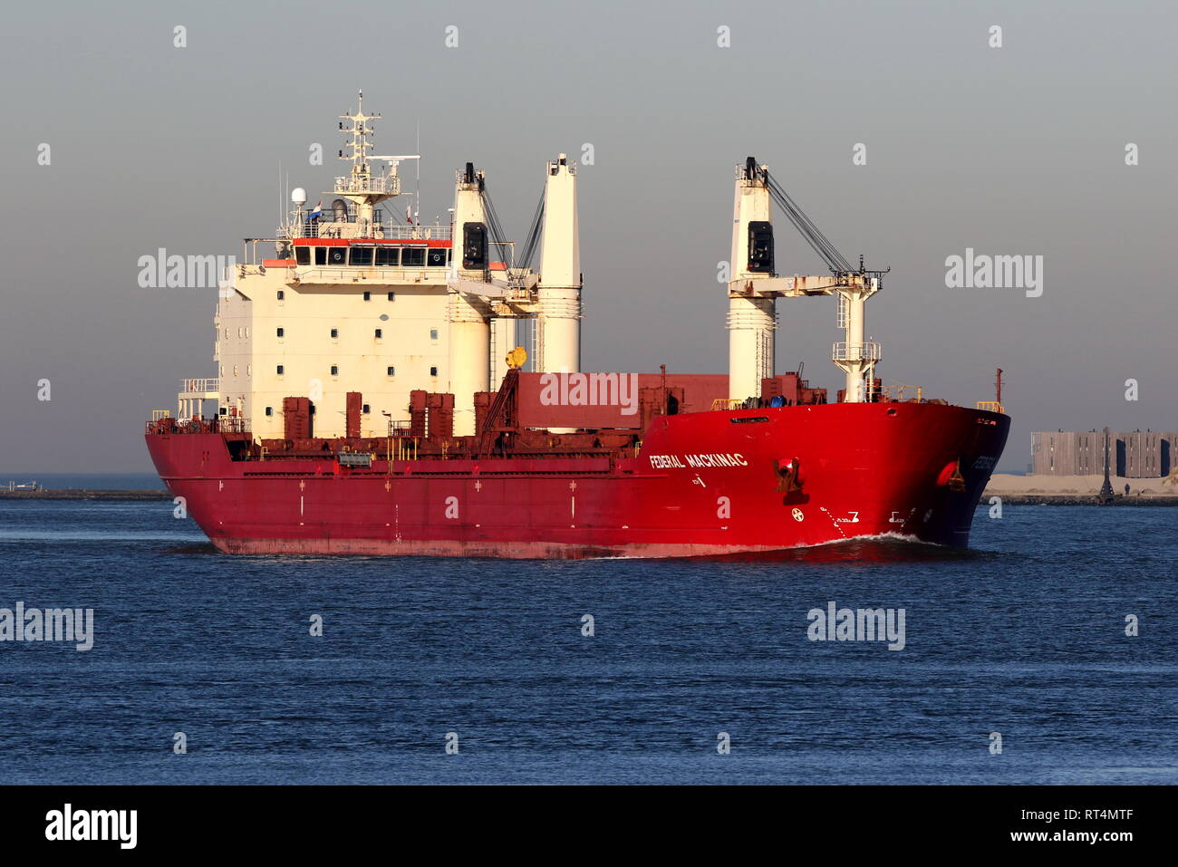 Il bulk carrier Mackinac Ferderal raggiunge il porto di Rotterdam il 15 febbraio 2019. Foto Stock