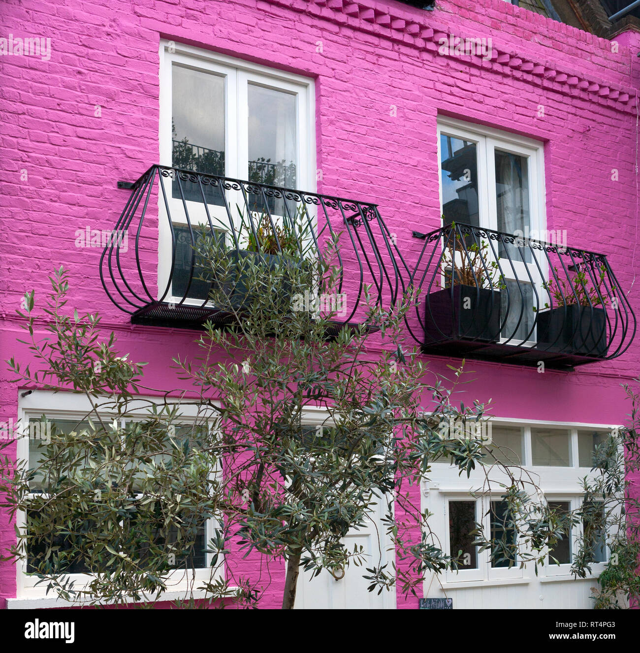 Luce di colore Magenta Mews House, Notting Hill, Londra Foto Stock