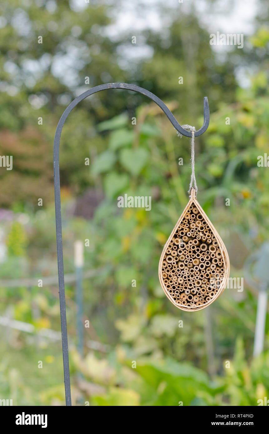 Una struttura di bambù progettato con camere di nidificazione per attrarre le api di Mason si blocca in una comunità giardino a Redmond, Washington. Foto Stock
