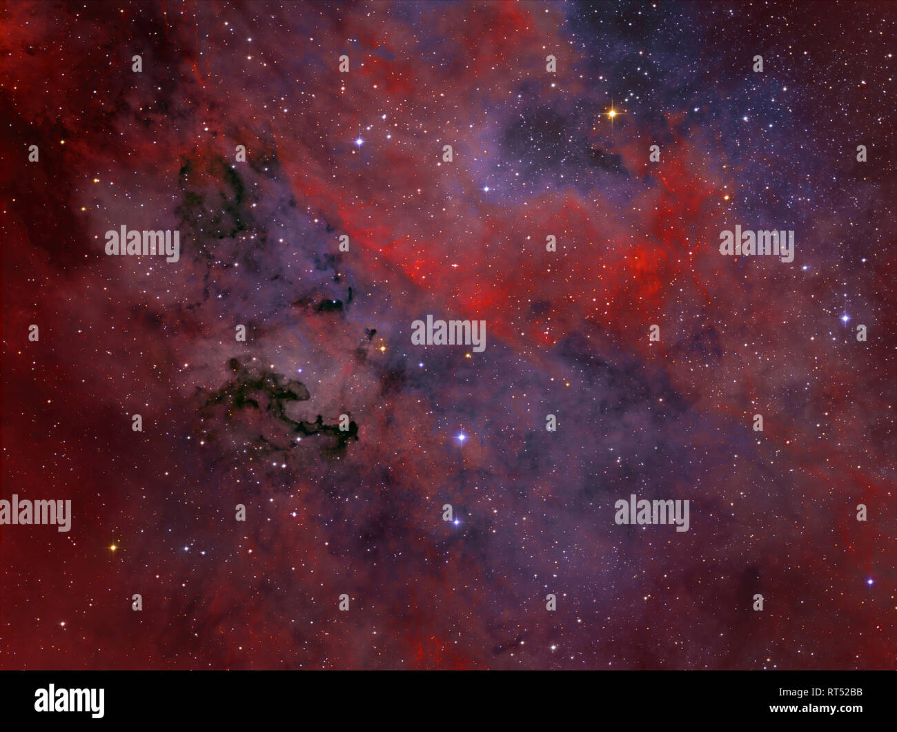 Dark Nebula P91 è una formazione di polvere nella costellazione del Cigno. Foto Stock