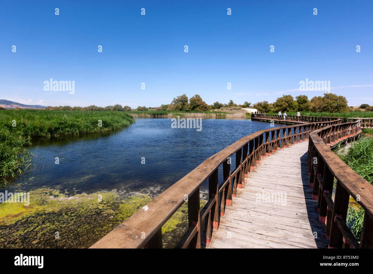 Passerella ponte di legno per i visitatori di vedere Tablas de Daimiel National Park, La Mancha pianura, provincia di Ciudad Real, Spagna Foto Stock