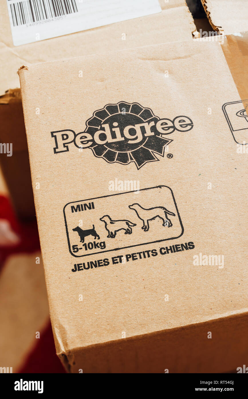 Parigi, Francia - Sep 20, 2017: a forma di osso di pet a secco il cibo per cani su una scatola di cartone con il logo di pedigree e doog schema dimensioni Foto Stock