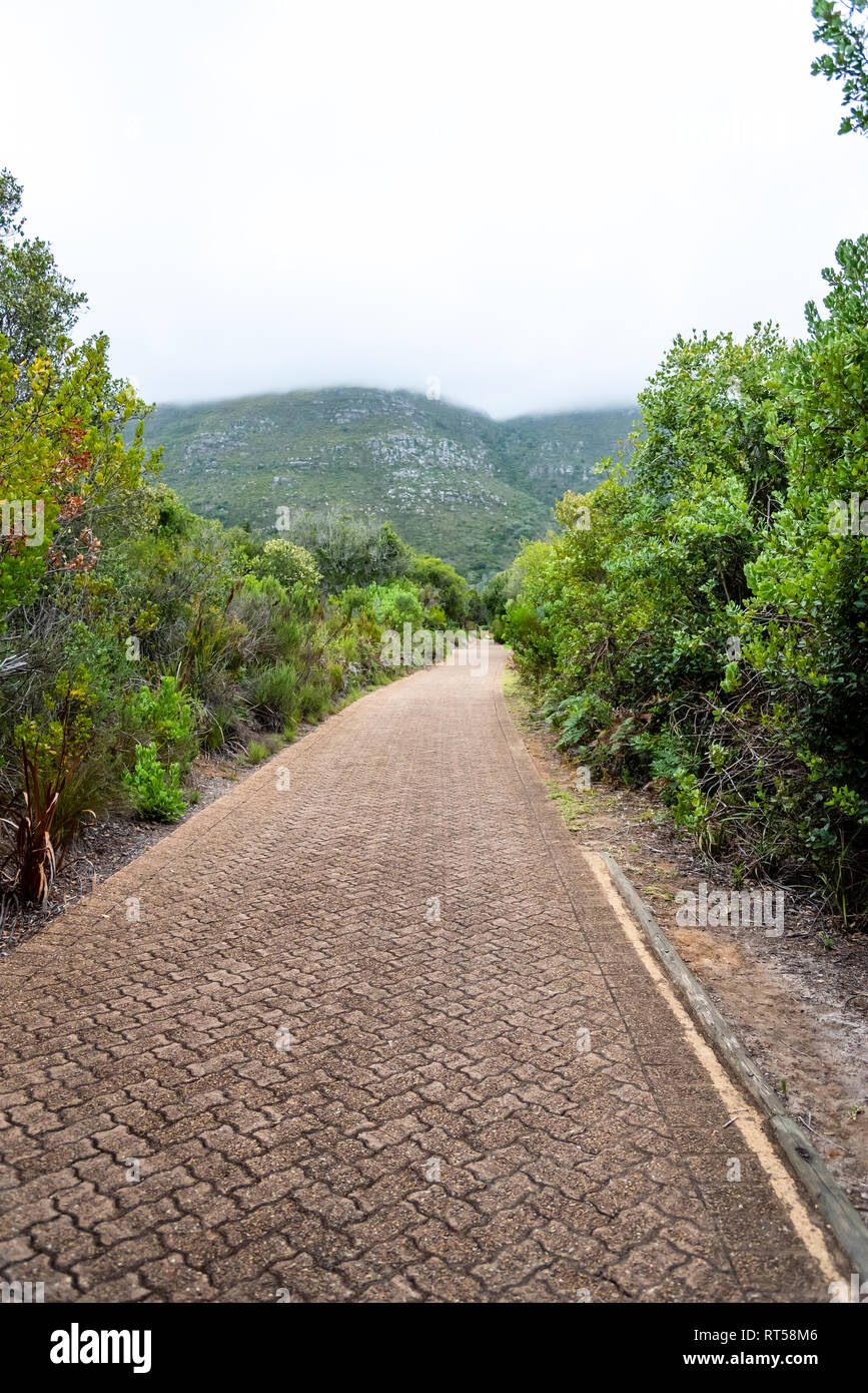 Giardini Botanici di Kirstenbosch, Sud Africa Foto Stock