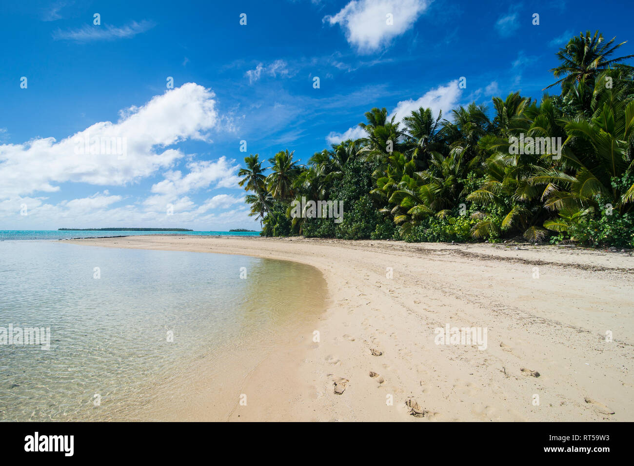 Isole di Cook, Rarotonga, Laguna Aitutaki, spiaggia di sabbia bianca e a Palm Beach Foto Stock