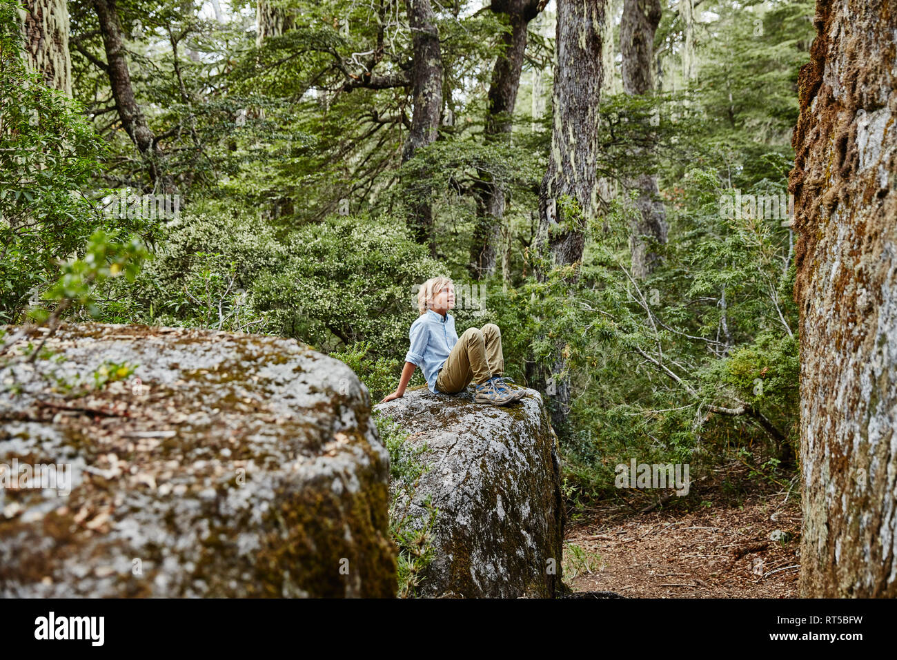 Il Cile, Puren, Nahuelbuta National Park, ragazzo seduto su una roccia nella foresta Foto Stock