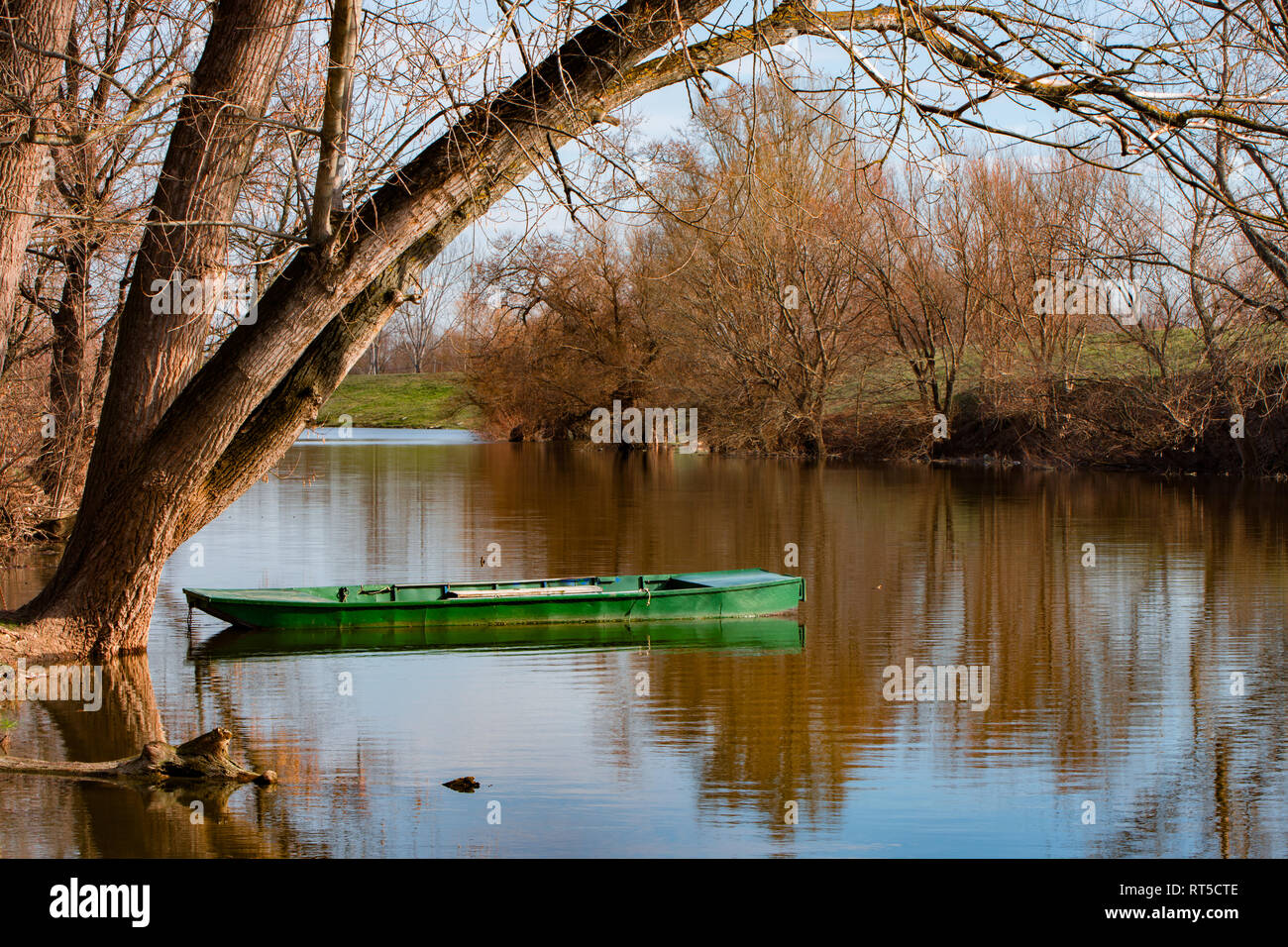 Il fiume Danubio e la bella riflessione di foreste nell'acqua con colori autunnali. La Serbia Nadele, Ivanocka Ada Foto Stock