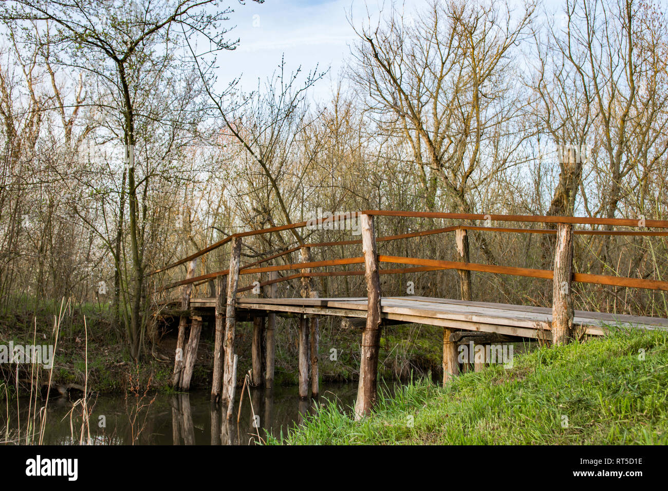 Ponte di legno nel Parco Nazionale di palude imperiale, Carska Bara, Vojvodina Serbia Foto Stock