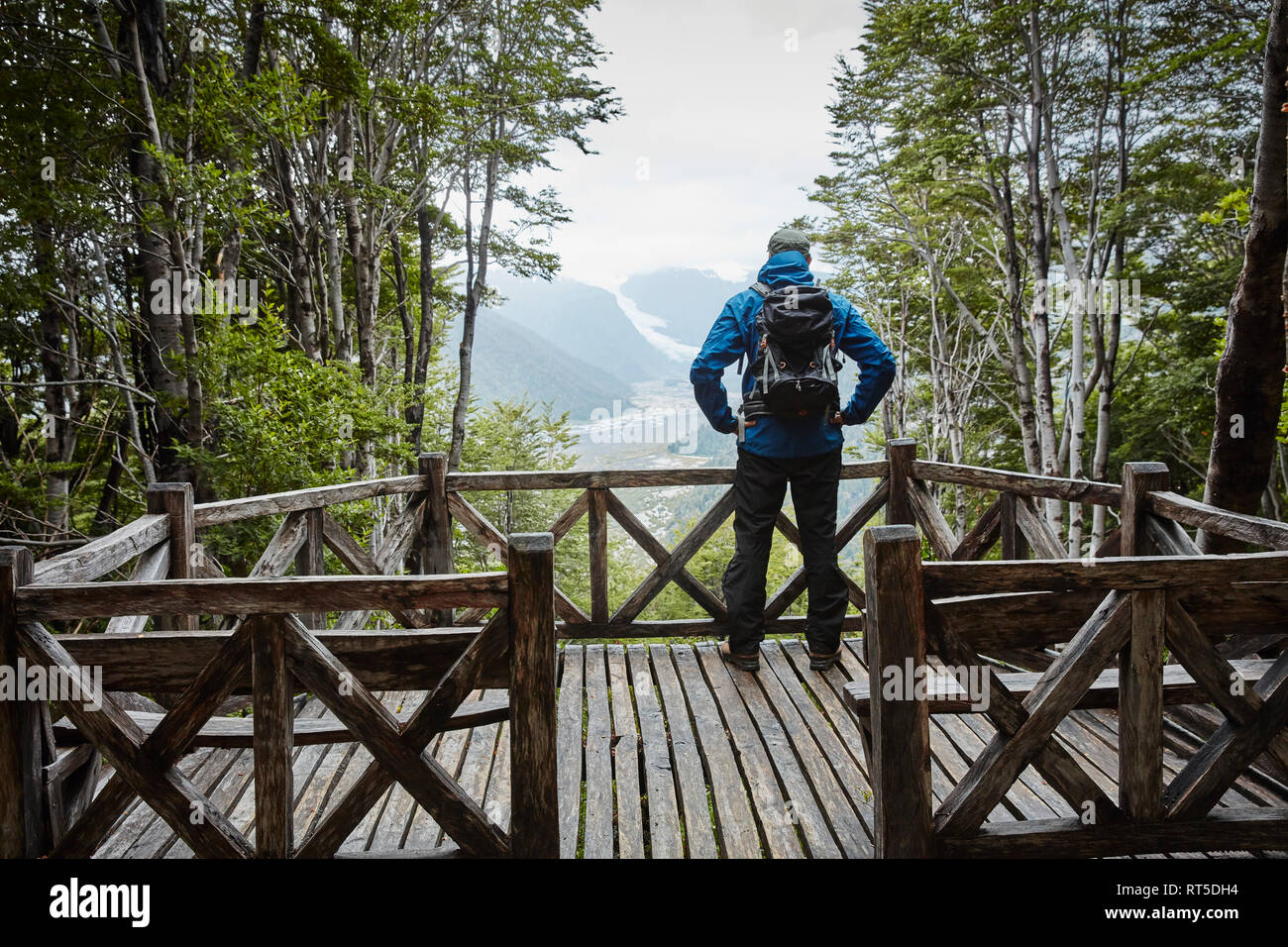 Il Cile, Chaiten, Parque Pumalin, uomo in piedi sulla piattaforma di osservazione guardando glacier Foto Stock