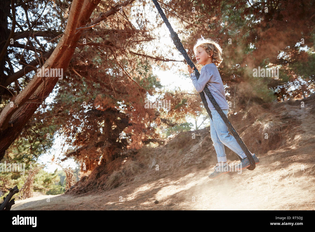 Ragazzo basculante in una corda in controluce Foto Stock