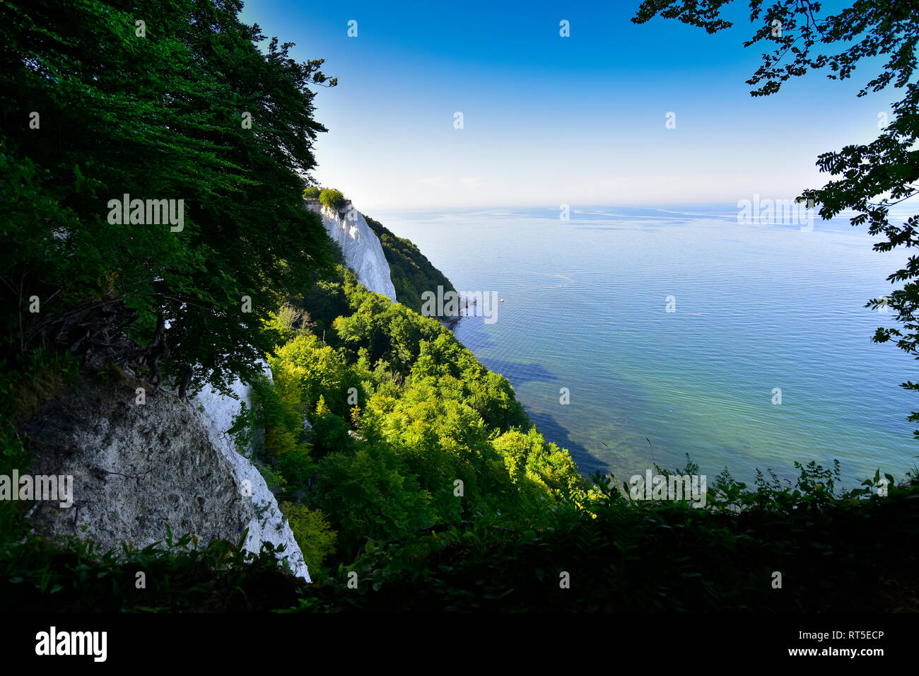 Germania, Ruegen, Jasmund National Park, chalk cliff Koenigsstuhl Foto Stock