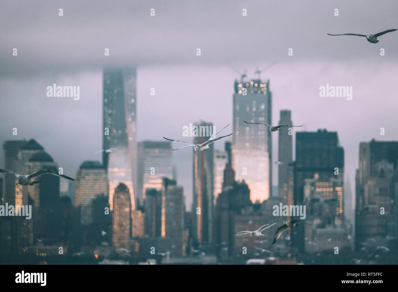 Stati Uniti d'America, New York, Panorama della skyline di Manhattan, uccelli volare Foto Stock