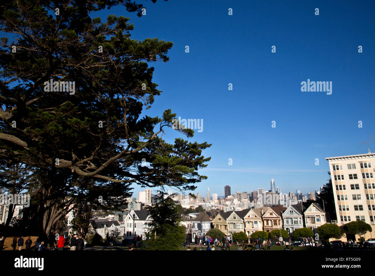 Vedute del centro cittadino di San Francisco da Alamo Park. Foto Stock