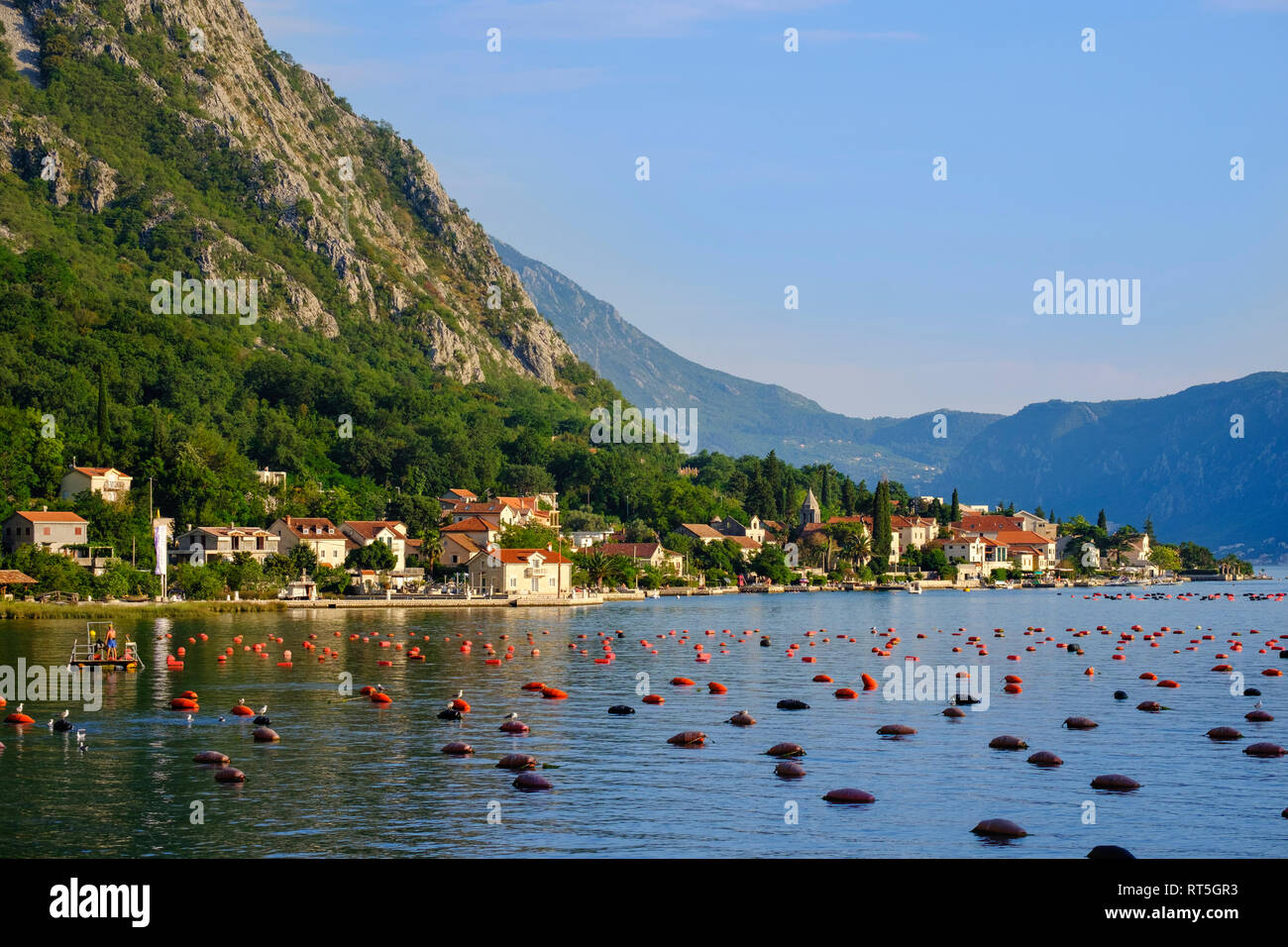 Montenegro e della Baia di Kotor, Ljuta Foto Stock