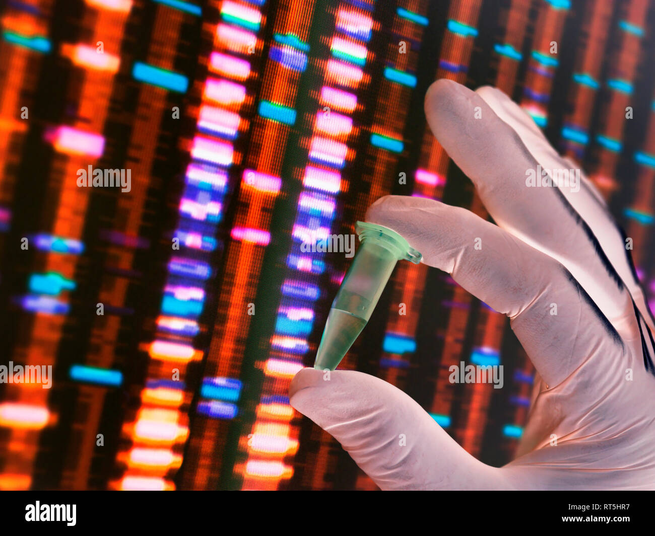 Scienziato tenendo un campione di DNA con i risultati su un computer sceeen in un laboratorio Foto Stock