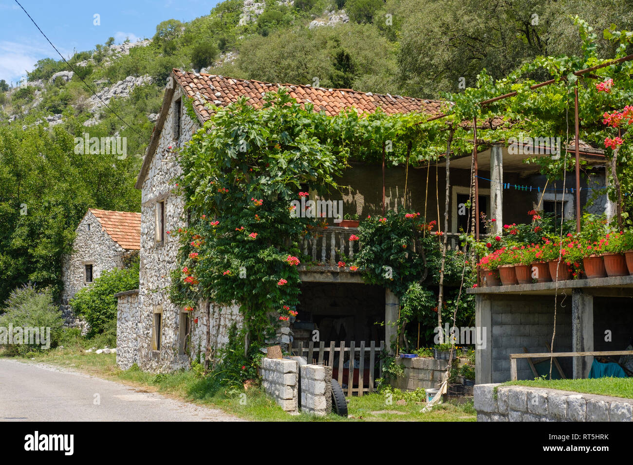 Montenegro, Ponari vicino a Podgorica, casa residenziale con decorazioni floreali Foto Stock