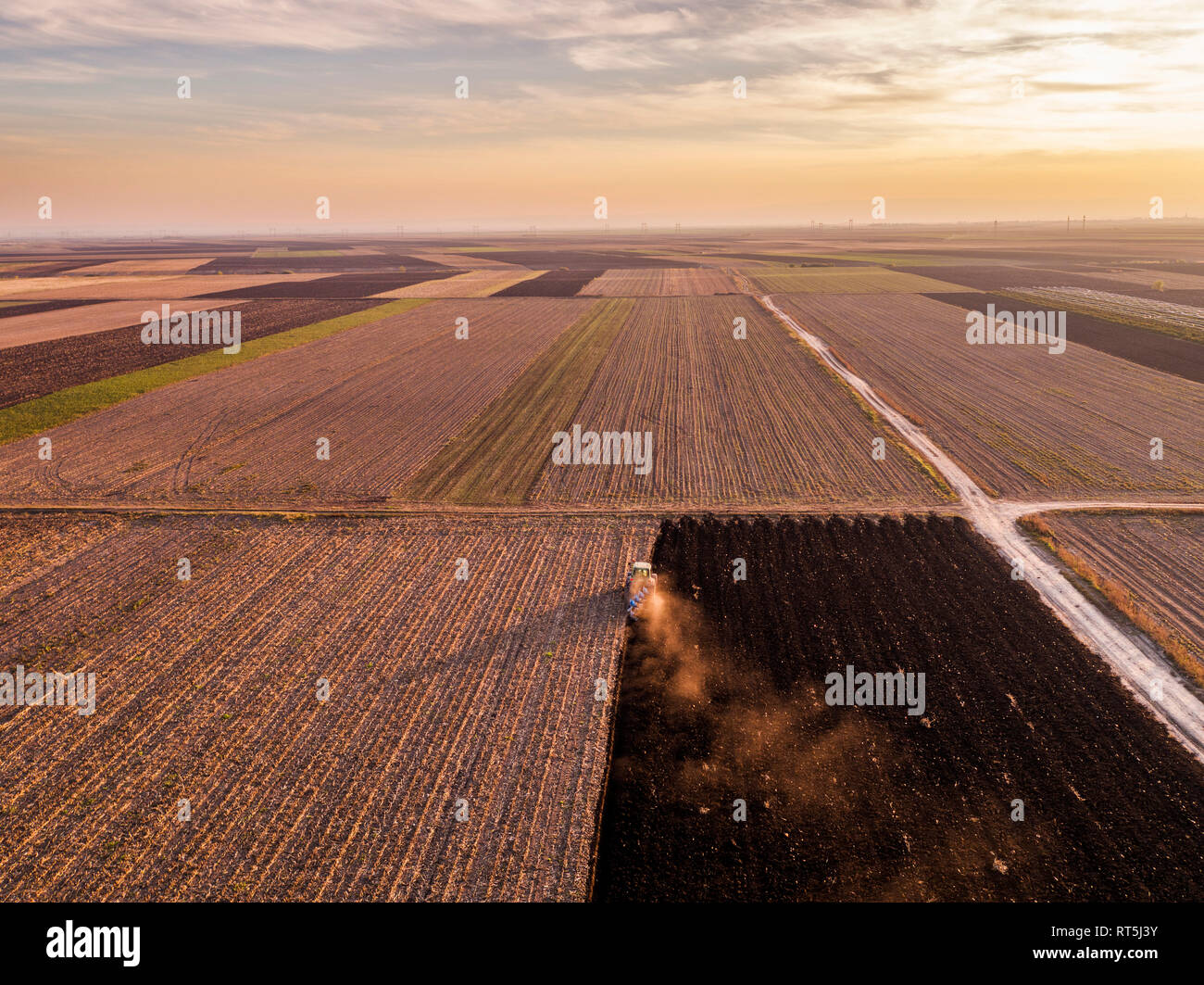 La Serbia, Vojvodina. Il trattore di aratura in campo la sera Foto Stock