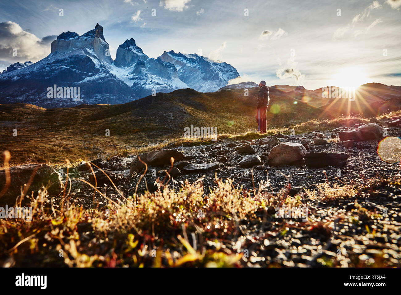 Il Cile, parco nazionale Torres del Paine, uomo in piedi di fronte a Torres del Paine massiccio di sunrise Foto Stock