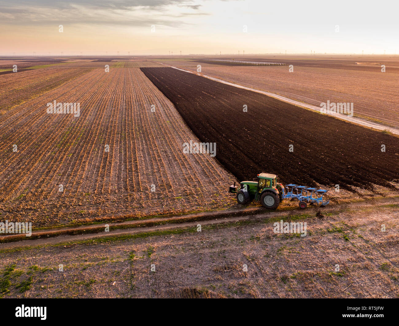 La Serbia, Vojvodina. Il trattore di aratura in campo la sera Foto Stock