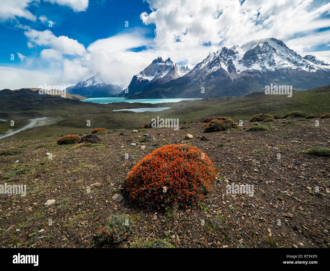 Il Cile, Patagonia, parco nazionale Torres del Paine, Cerro Paine Grande e Torres del Paine, lago Nordenskjold Foto Stock