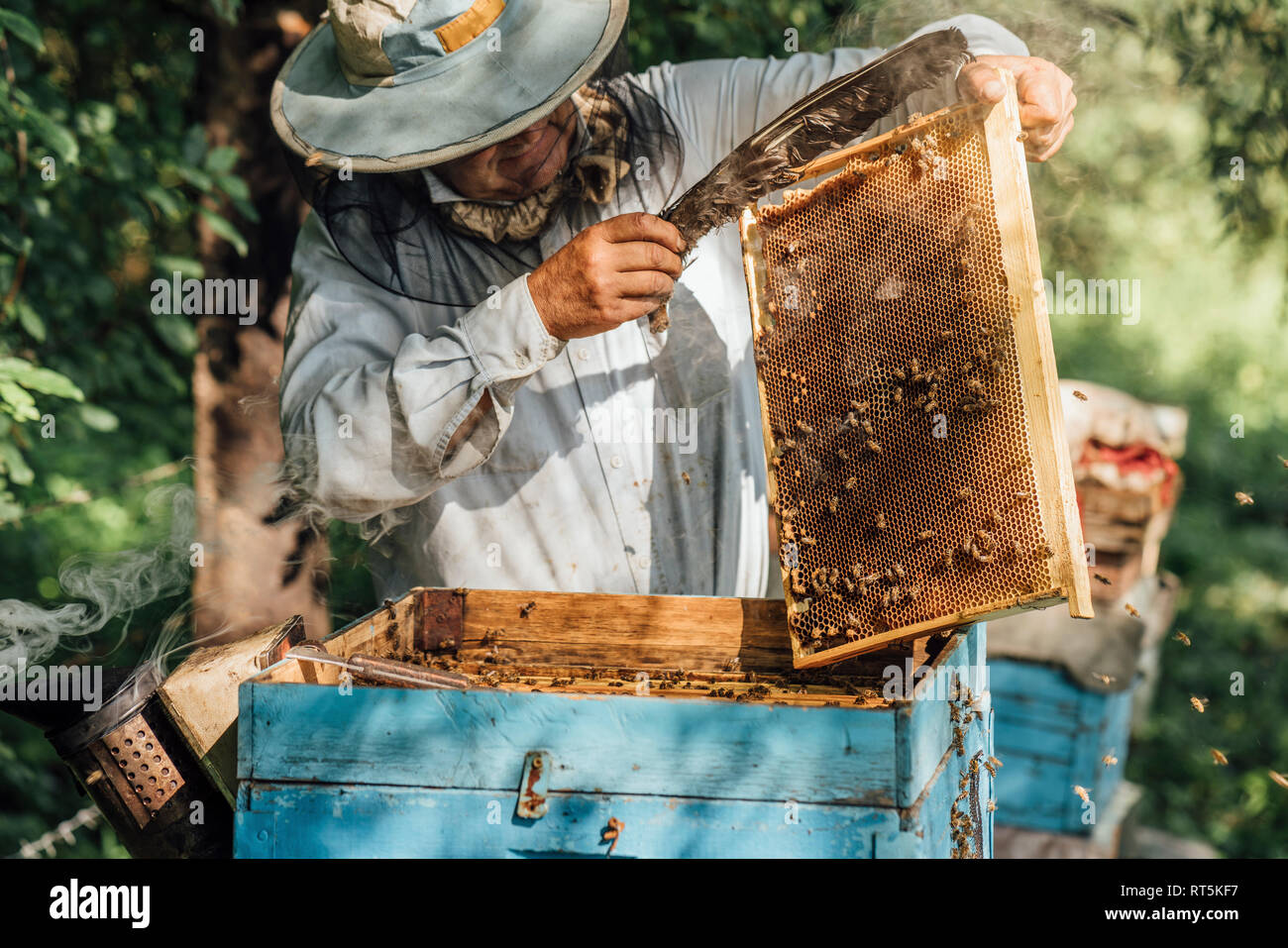 Cappello di beekeers immagini e fotografie stock ad alta risoluzione - Alamy