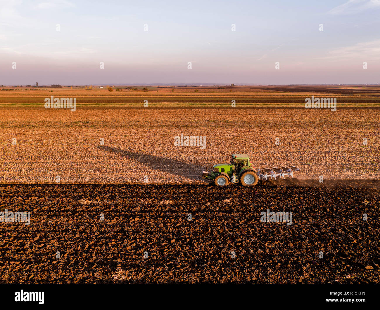 La Serbia, Vojvodina. Il trattore di aratura in campo la sera Foto Stock