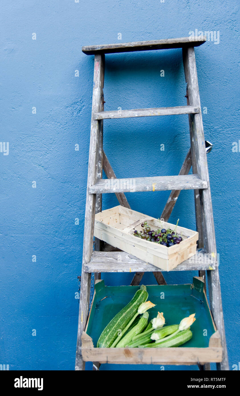 Scaletta, cesto con uve blu, box con zucchine e fiori Foto Stock