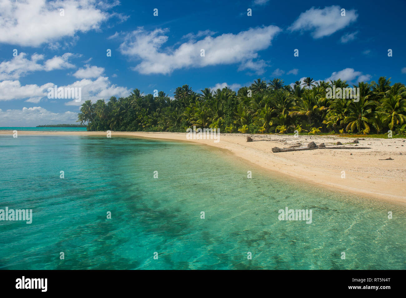 Isole di Cook, Rarotonga, Laguna Aitutaki, spiaggia di sabbia bianca e a Palm Beach Foto Stock