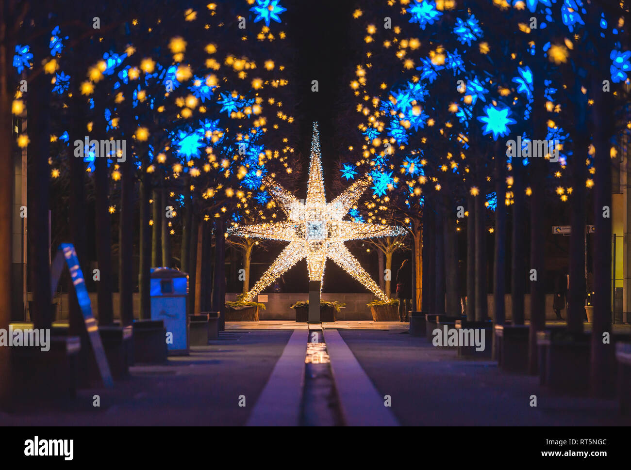 Germania, Berlino, decorazione di Natale, moravi star Foto Stock