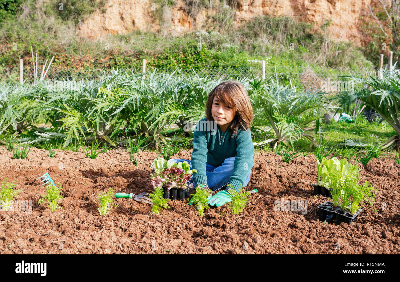Ragazzo piantare le piantine di lattuga in un orto Foto Stock