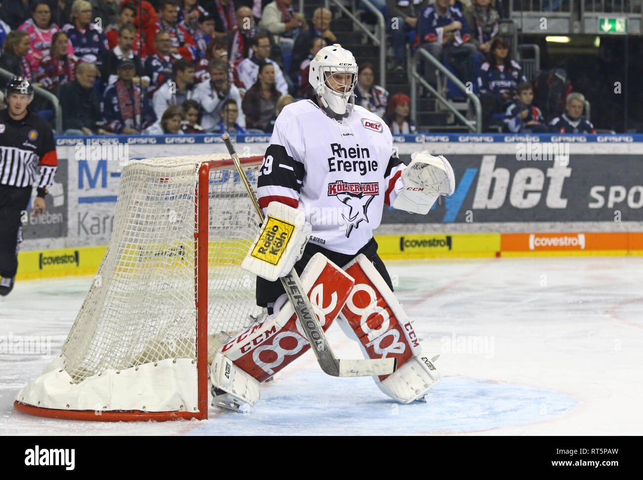 Berlino, Germania - 22 settembre 2017: il portiere Gustaf Wesslau di Kolner Haie in azione durante la Deutsche Eishockey Liga (DEL) partita contro Eisbare Foto Stock