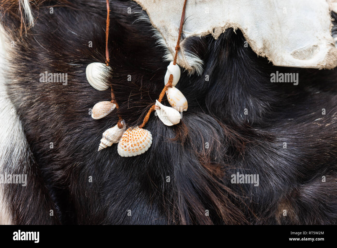 L'uomo primitivo collana di conchiglie di piccole dimensioni su una stringa in pelle. Grotta di uomo-usura costituito da una pelliccia pelle di animale Foto Stock