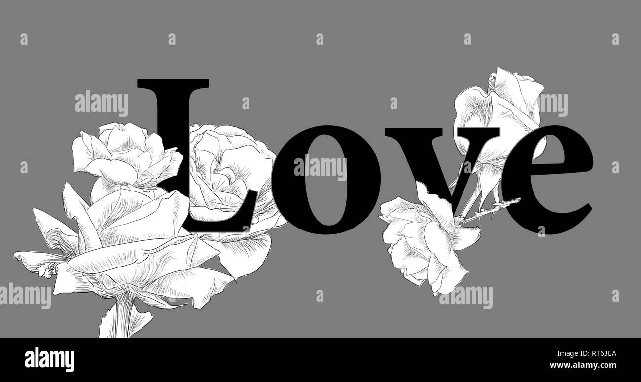 Disegnate concept amore black Rose on GREY background da jziprian Foto Stock