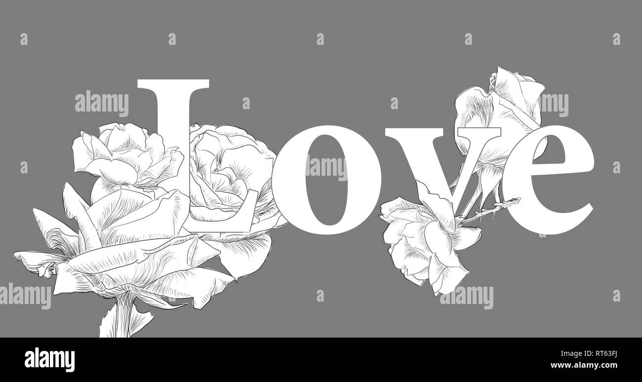 Disegnate concept amore Rose on GREY background da jziprian.jpg Foto Stock