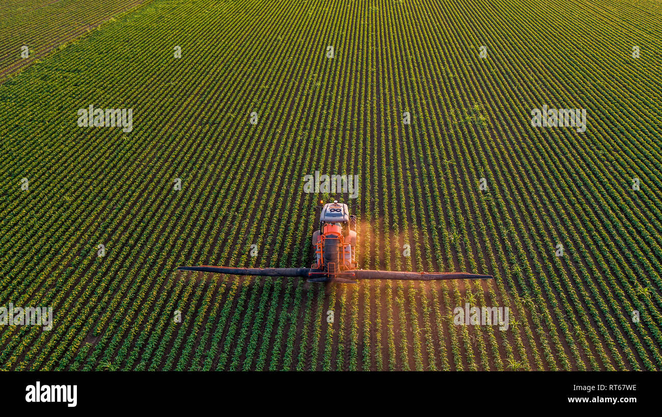 La Serbia, Vojvodina, vista aerea di un trattore di irrorazione delle colture di soia Foto Stock