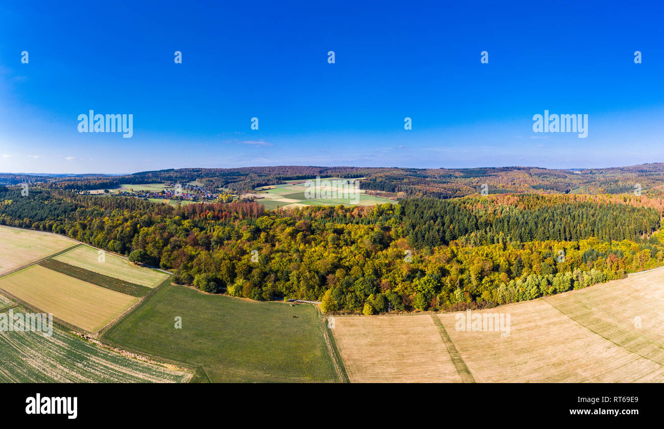 Germania, Hesse, Hochtaunuskreis, veduta aerea della foresta e dei campi in autunno Foto Stock