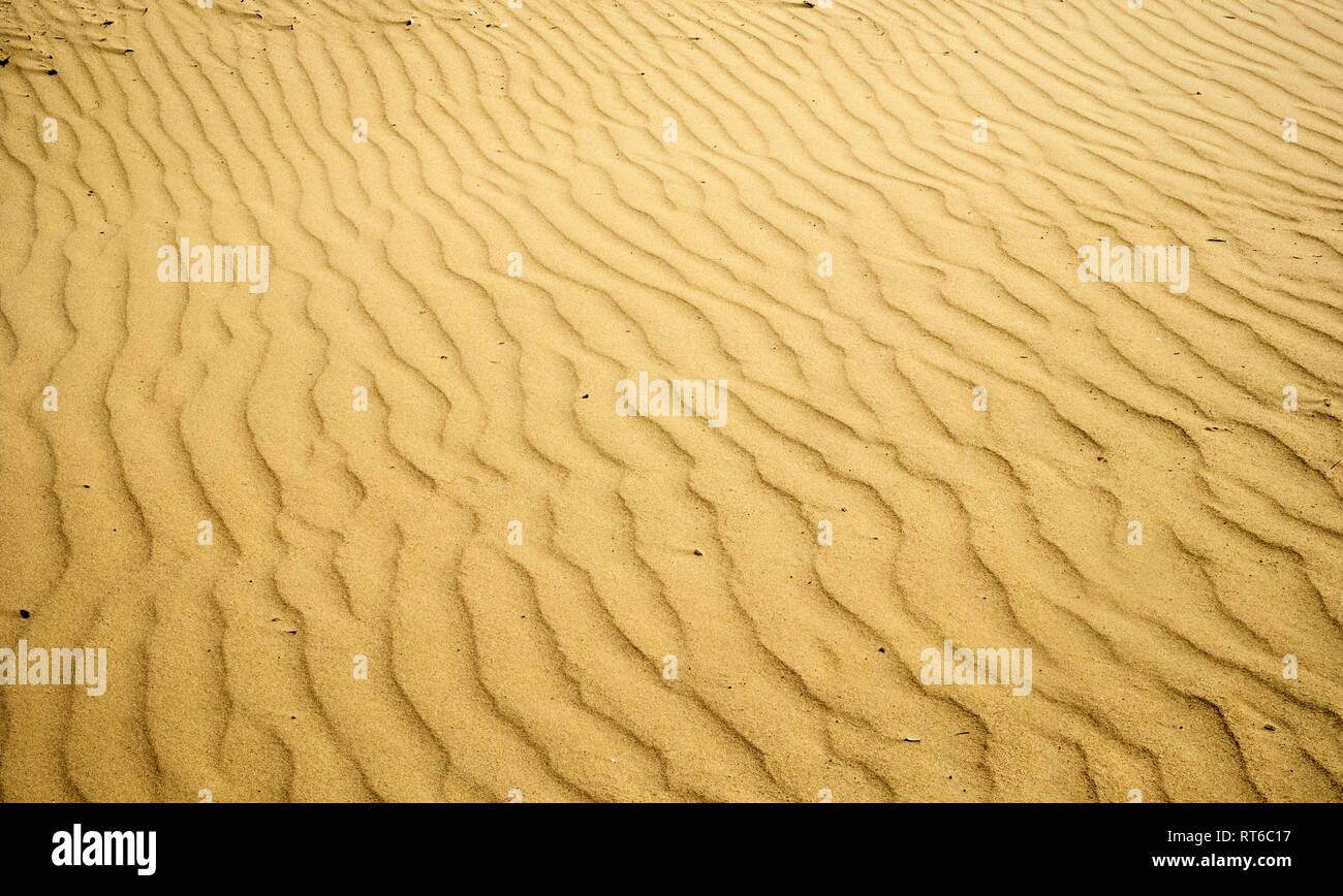 Bei modelli di dune di sabbia, formata dal vento sulla costa sabbiosa Foto Stock