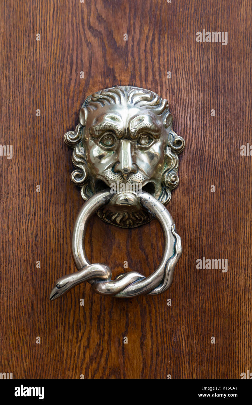 Primo piano di una bella mano paracolpi di argento con una fantasia testa leone e un serpente avvolto intorno alla maniglia Foto Stock
